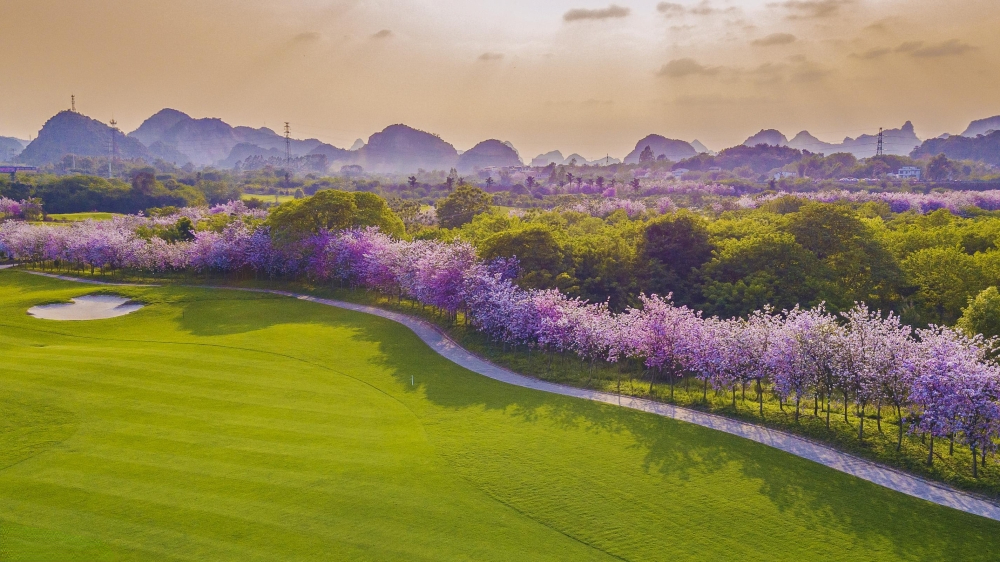 2205261414513779c444ce4f0eda60be8c0b9a958d1842 (1).jpg