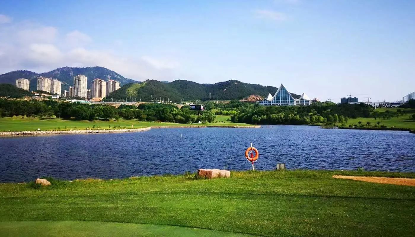 青岛国际.jpg