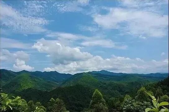 云雾山2.jpg
