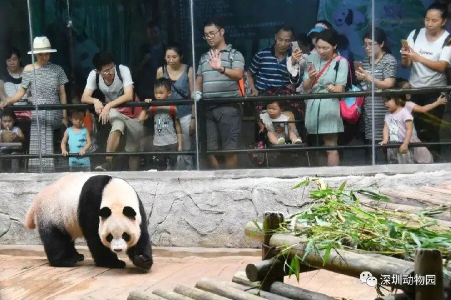 下载 (15).jpg 图片