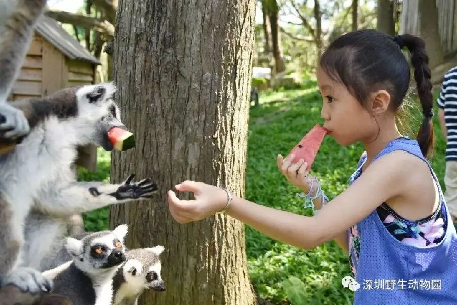 下载.jpg 图片