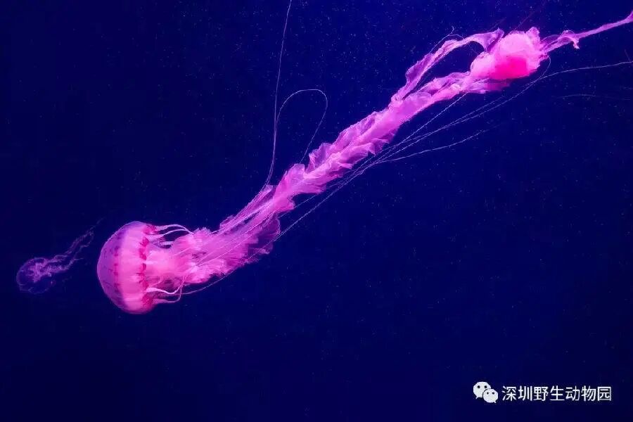 下载 (12).jpg 图片