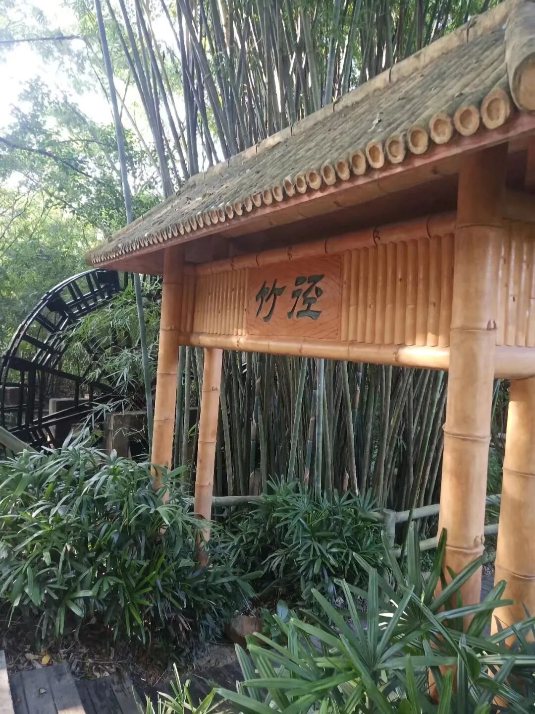 图片