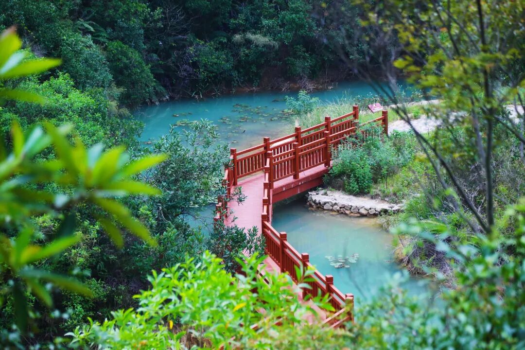1A1A4799.jpg 图片