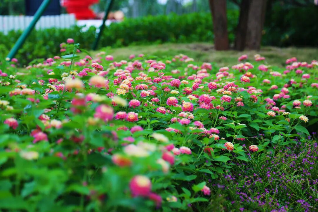 1A1A4894.jpg 图片