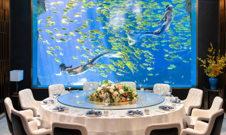 蒂铂·美人鱼·海底餐厅(海棠湾店) - 星际高球联盟-中国精英人士高尔夫旅游度假实景