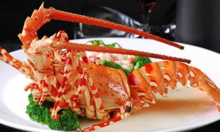 蒂铂·美人鱼·海底餐厅(海棠湾店) - 深圳观澜湖高尔夫订场服务-广东专业高尔夫预订平台