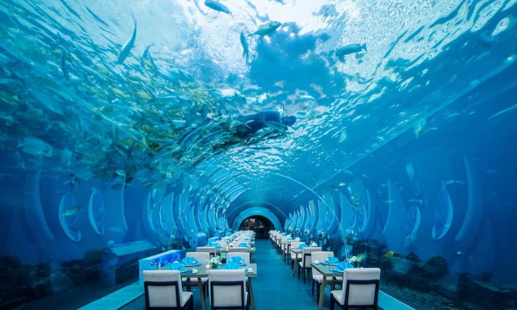 涛·海底餐厅 - 星际高球联盟-中国精英人士高尔夫旅游度假实景