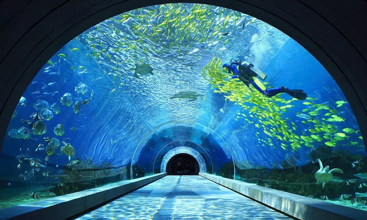 涛·海底餐厅 - 全国335座高尔夫球场实时预订-高球爱好者一站式订场平台