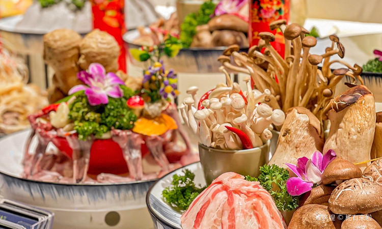 将军府壹号·鸡毛店(人民公园店) - 全国335座高尔夫球场实时预订-高球爱好者一站式订场平台