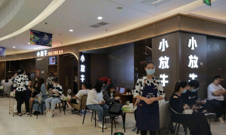 小放牛(北国商城店) - 深圳观澜湖高尔夫订场服务-广东专业高尔夫预订平台