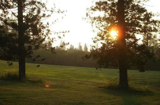 卡文迪什高尔夫球场