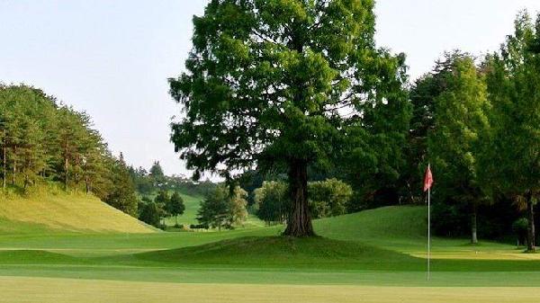 那须伊王野乡村俱乐部