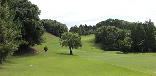 玉名乡村俱乐部 - 海口观澜湖高尔夫球场预订-海南高尔夫旅游攻略推荐