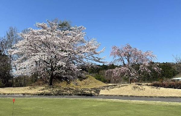 JGM宇都宫高尔夫俱乐部 - 全国335座高尔夫球场实时预订-高球爱好者一站式订场平台
