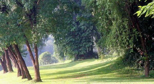 樟宜高尔夫俱乐部 - 星际高球联盟-中国精英人士高尔夫旅游度假实景