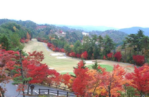大树高尔夫俱乐部旭球场 - 海口观澜湖高尔夫球场预订-海南高尔夫旅游攻略推荐