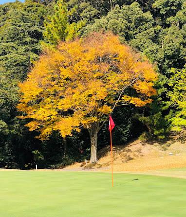 葵乡村俱乐部 - undefined