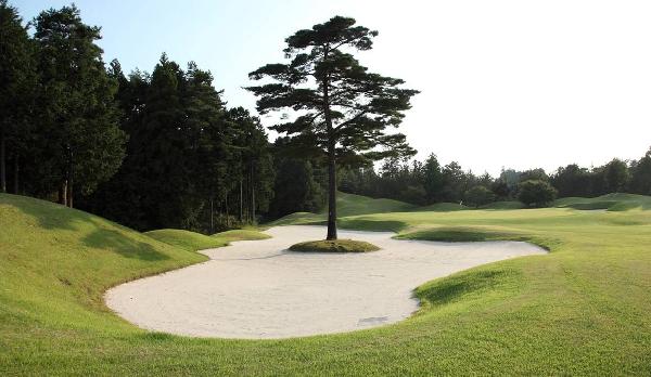 秋叶高尔夫俱乐部 - 深圳观澜湖高尔夫订场服务-广东专业高尔夫预订平台