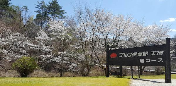 大树高尔夫俱乐部旭球场 - 星际高球联盟-中国精英人士高尔夫旅游度假实景