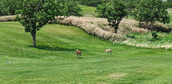 稚内乡村俱乐部 - 高尔夫1球1晚特惠套票-星际高球联盟精选旅游套餐