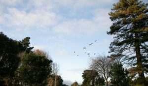 瓦图唐斯高尔夫俱乐部 - undefined