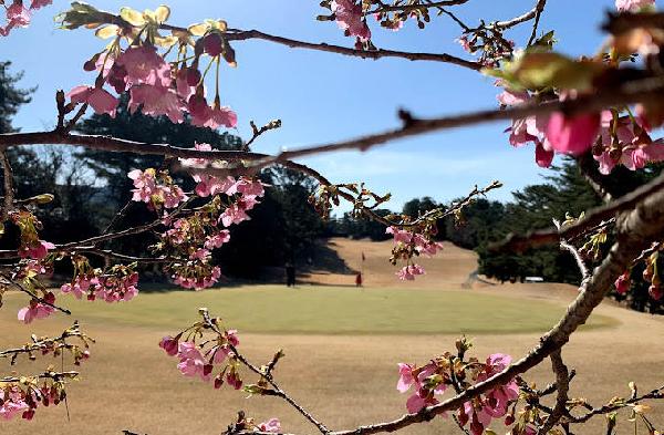 葵乡村俱乐部 - 深圳观澜湖高尔夫订场服务-广东专业高尔夫预订平台
