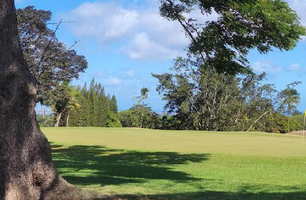 夏威夷乡村俱乐部