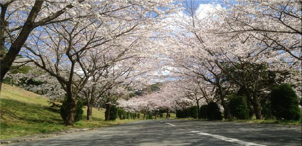 熊本益城乡村俱乐部