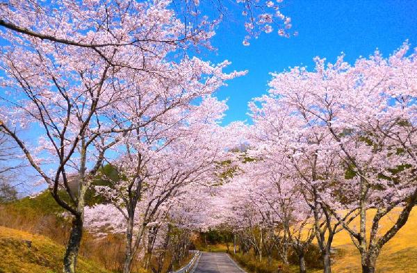 思川高尔夫俱乐部