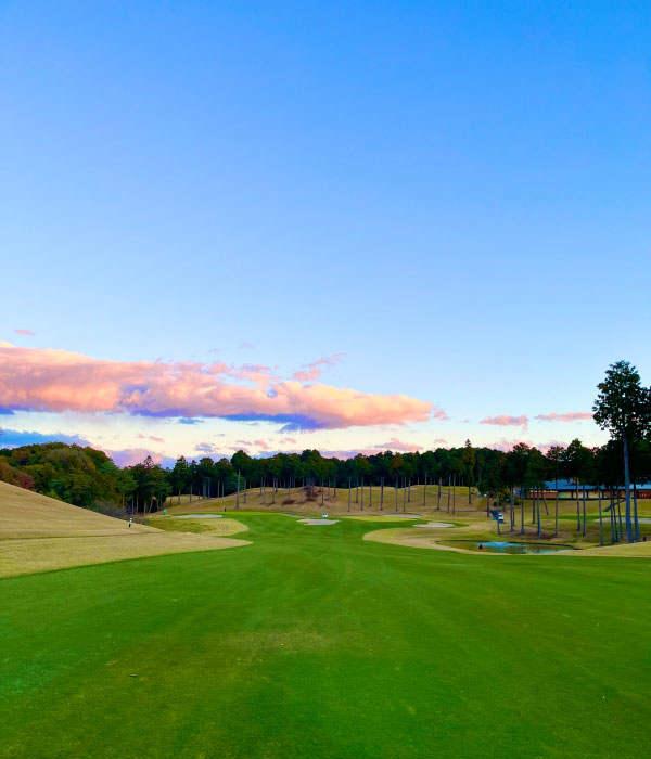 武藏丘高尔夫球场 - undefined