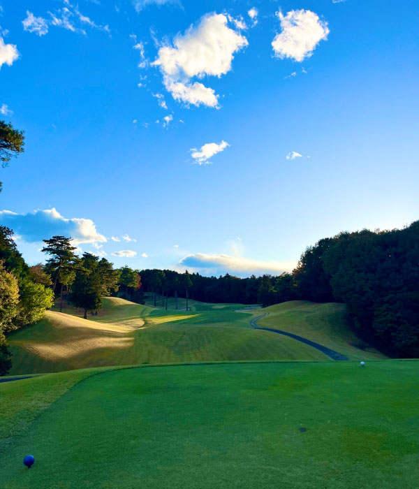 武藏丘高尔夫球场 - undefined