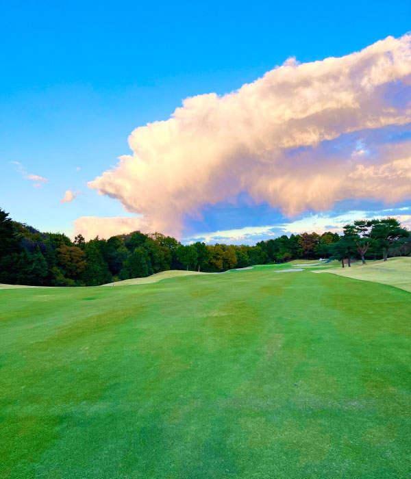 武藏丘高尔夫球场 - undefined