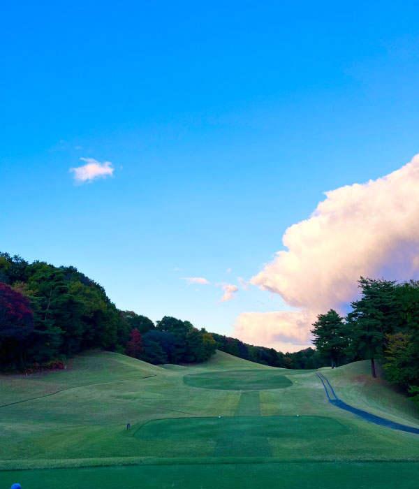 武藏丘高尔夫球场 - undefined