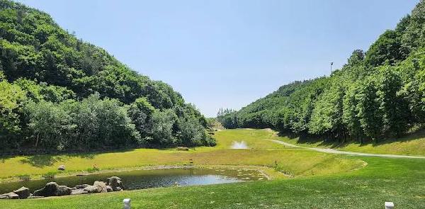 高尔夫球场花郎