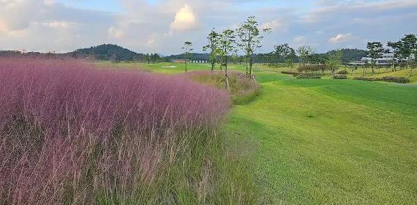 索拉塞阿多乡村俱乐部 - 深圳观澜湖高尔夫订场服务-广东专业高尔夫预订平台