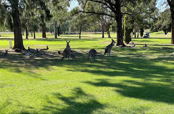 达博高尔夫俱乐部 - 海口观澜湖高尔夫球场预订-海南高尔夫旅游攻略推荐