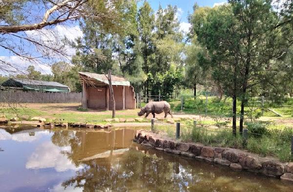 达博高尔夫俱乐部 - 阳江保利银滩高尔夫套票-海滨高尔夫旅游1球1晚套餐