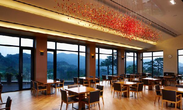 球员高尔夫俱乐部 - undefined