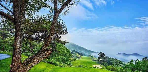 黑石贝尔森林乡村俱乐部 - undefined