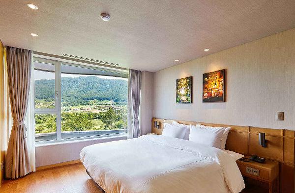 阿南蒂南海乡村俱乐部 - undefined