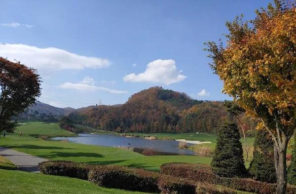 希尔德洛西乡村俱乐部 - undefined