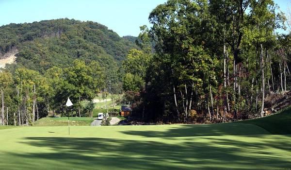 黑石贝尔森林乡村俱乐部 - undefined