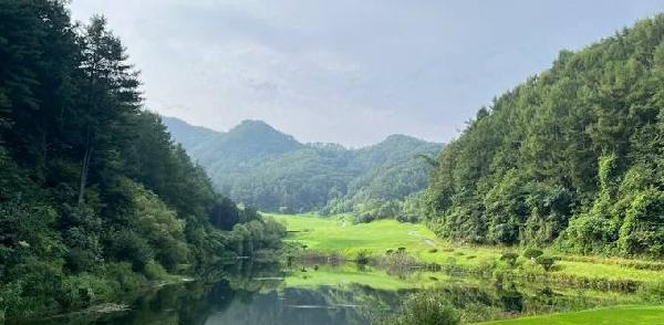 业主高尔夫俱乐部 - undefined