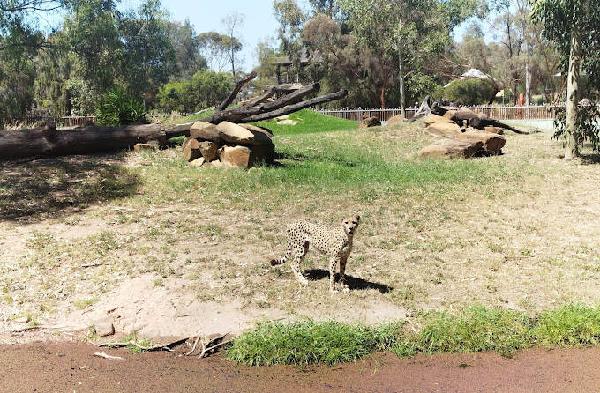 达博高尔夫俱乐部 - 星际高球联盟-中国精英人士高尔夫旅游度假实景
