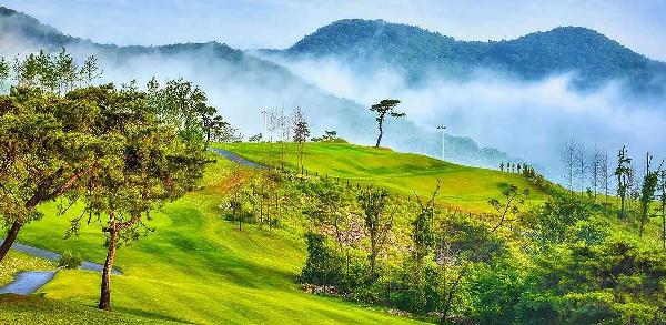 黑石贝尔森林乡村俱乐部 - undefined