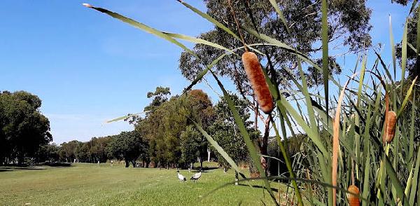 贝弗利公园高尔夫俱乐部 - 高尔夫1球1晚特惠套票-星际高球联盟精选旅游套餐