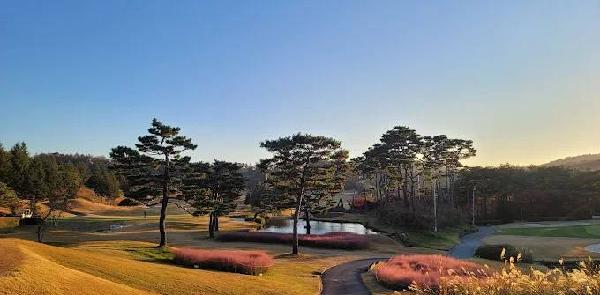 帕克谷高尔夫球场 - undefined