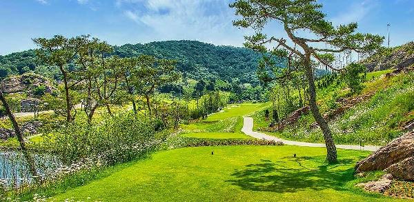 黑石贝尔森林乡村俱乐部 - undefined