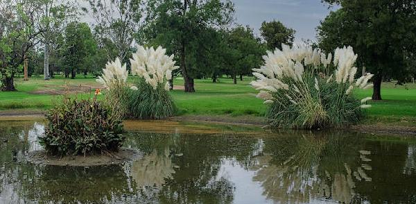 达博高尔夫俱乐部 - 深圳观澜湖高尔夫订场服务-广东专业高尔夫预订平台